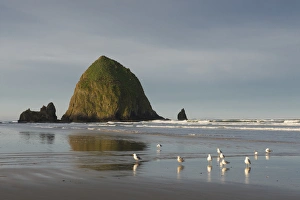 Greg Probst Prints: Haystack Rok on Cannon Beach, Oregon