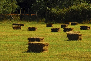 Butte Larose Prints: Haystacks in late afternoon, Doe Bay, Orcas Island, Washington, USA