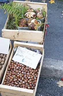 Images Dated 19th November 2005: Hazelnut nuts for sale at a market stall at the market in Bergerac for 6 euro per kilo