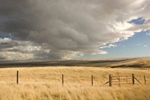 Fort Macleod Prints: 02