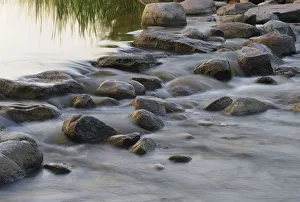 Gayle Harper Prints: Headwaters of the Mississippi River, Itasca, Minnesota