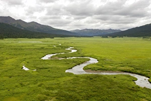 Images Dated 21st July 2009: Headwaters of the Skeena River, Sacred Headwaters, British Columbia