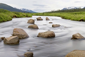 Images Dated 19th July 2009: Headwaters of the Skeena River, Sacred Headwaters, British Columbia