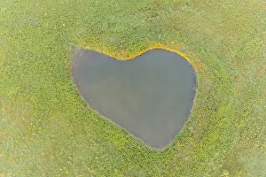 Love Prints: Heart shaped pond, Marion County, Illinois