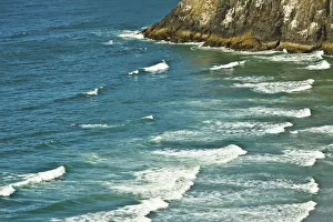 Images Dated 18th September 2018: Heceta Head Area, Oregon Coast, Oregon, USA