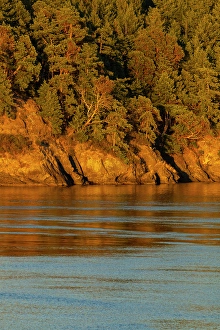 Salish Sea Prints: Helen Point shoreline, Mayne Island