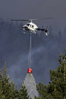 Helicopter Fighting Forest Fire, Dunedin, South Island, New Zealand