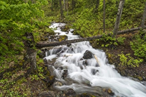 Images Dated 23rd May 2012: Hellroaring Creek flowing strong in spring near Whitefish, Montana, USA