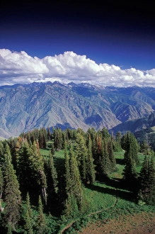 Images Dated 25th August 2005: Hells Canyon (The deepest canyon in North America) Wilderness overview from hat Point Lookout Tower