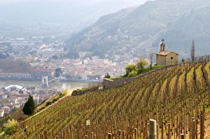 Images Dated 13th April 2005: The Hermitage chapel on top of the hill with a veiw across the river on Tournon