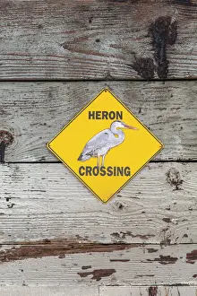 Waterfowl Prints: Heron Crossing sign at the Glendale Narrows on the Los Angeles River