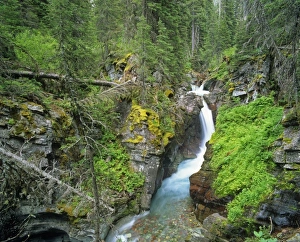 Images Dated 22nd September 2011: Hidden Falls in the Many Glacier Valley of Glacier National Park, Montana, USA