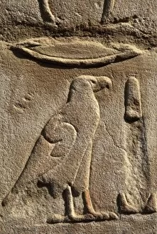 Hieroglyphic writing. EGYPT. Detail of a wall of the first court of Ramses II decorated