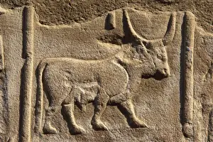 Hieroglyphic writing. EGYPT. Detail of a wall of the first court of Ramses II decorated