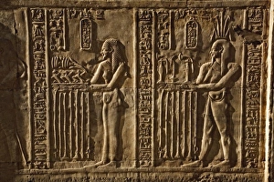 Images Dated 29th January 2006: Hieroglyphs, The Temple of Kom-Ombo, near Aswan, Egypt