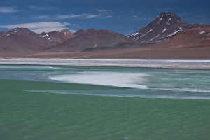 Diversity Prints: High in the Andes Mountains in Chile