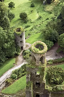 Moss Gallery: High angle view of towers, Blarney Castle, County Cork, Ireland
