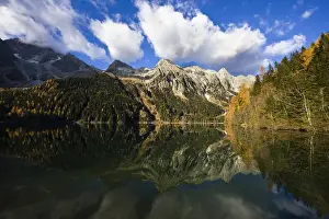 Idyll Prints: The high mountains of the Rieserferner Alps are reflecting in the Antholzer See (lake antholz)