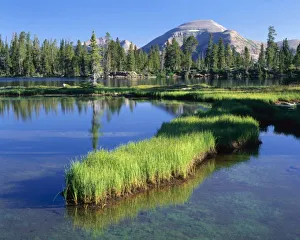 Drainage Prints: HIGH UINTAS WILDERNESS, UT, US, penisula, Margo Lake. Mt. Agassiz behind, Uinta Mtns