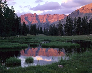 Reflect Prints: HIGH UINTAS WILDERNESS, UTAH. USA. Ostler Peak reflected in pond at sunset. Near