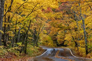 Highway Prints: Highway 41 covered roadway in autumn near Copper Harbor in the Upper Peninsula of Michigan