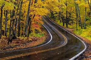 Highway 41 covered roadway in autumn near Copper Harbor in the Upper Peninsula of Michigan