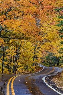 Highway Prints: Highway 41 covered roadway in autumn near Copper Harbor in the Upper Peninsula of Michigan