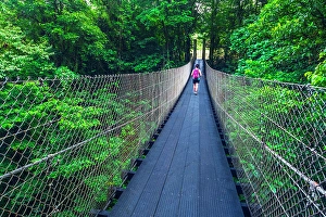 One Person Prints: Hiker on the Danta Bridge, Arenal Volcano National Park