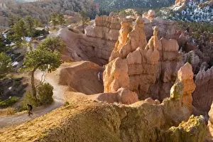 Bryce Prints: Hiker on Queens Garden Trail amongst the Hoodoos at Sunrise Point in Bryce Canyon