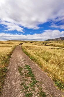 Images Dated 6th September 2022: Hiker on the Smugglers Cove Trail