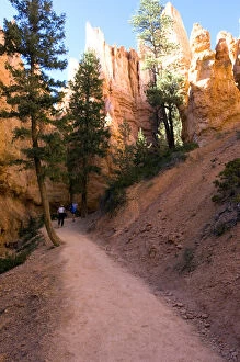 Images Dated 25th September 2005: Hikers in Bryce Amphitheater, Bryce Canyon National Park, Utah, USA