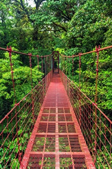 Monteverde Cloud Forest Biologi Prints: Hikers on a red suspension bridge