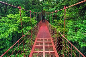 Costa Rica Prints: Hikers on a red suspension bridge
