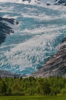 Hiking Prints: Hikers walk in a verdant valley near the terminus of Svartisen Glacier