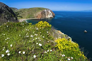 Shoreline Prints: Hiking at Scorpion Ranch, Santa Cruz Island, Channel Islands National Park, California