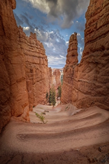 Hiking Prints: Hiking trail into Bryce Canyon, Bryce Canyon National Park, Utah