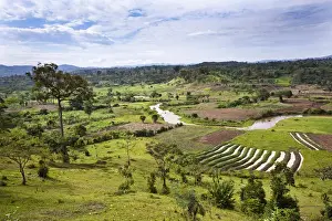 East Africa Prints: Hilly landscape of the southern ugandan highlands close to Bwindi National Park