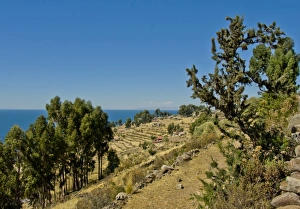 Folkloric Prints: Hilside of the island of Taquile in Lake Titicaca, Peru