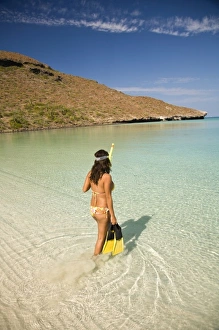Snorkel Prints: Hispanic woman near Balandra Bay, near La Paz, Baja California, Mexico. (MR)