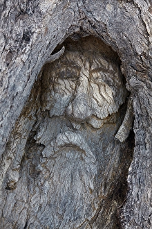 Carving Prints: Historic carving of Burke, by John Dick in 1898