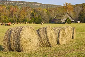 Images Dated 1st November 2007: Historic farm in