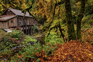 Images Dated 15th April 2024: Historic grist mill over Cedar Creek in Woodland, Washington State, USA