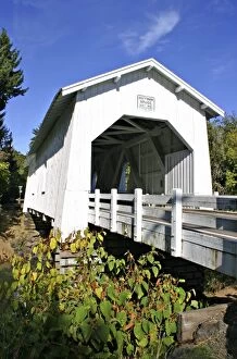 Images Dated 1st January 1980: Historic Hoffman Covered bridge near Albany Oregon