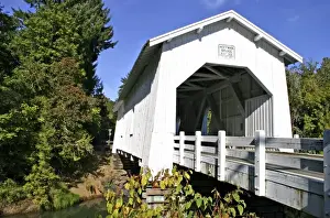 Images Dated 1980: Historic Hoffman Covered bridge near Albany Oregon