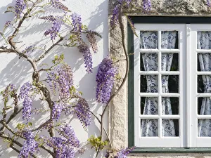 Settlement Prints: Historic small town Obidos with a medieval old town. Tourist attraction north of Lisboa