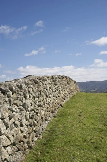 Images Dated 5th October 2009: Historic Stone Wall, Otago Peninsula, Dunedin, Otago, South Island, New Zealand