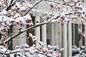Images Dated 24th December 2010: Historic Twickenham district and a rare Christmas snow, Huntsville, Alabama