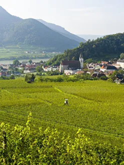 Historic village Spitz located in wine-growing area, UNESCO World Heritage Site