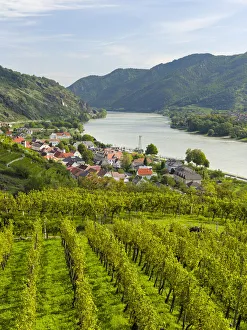 Images Dated 30th April 2021: Historic village Spitz located in wine-growing area, UNESCO World Heritage Site