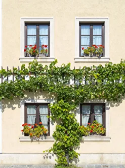 Images Dated 2021 April: Historic village Unterloiben located in wine-growing area, UNESCO World Heritage Site